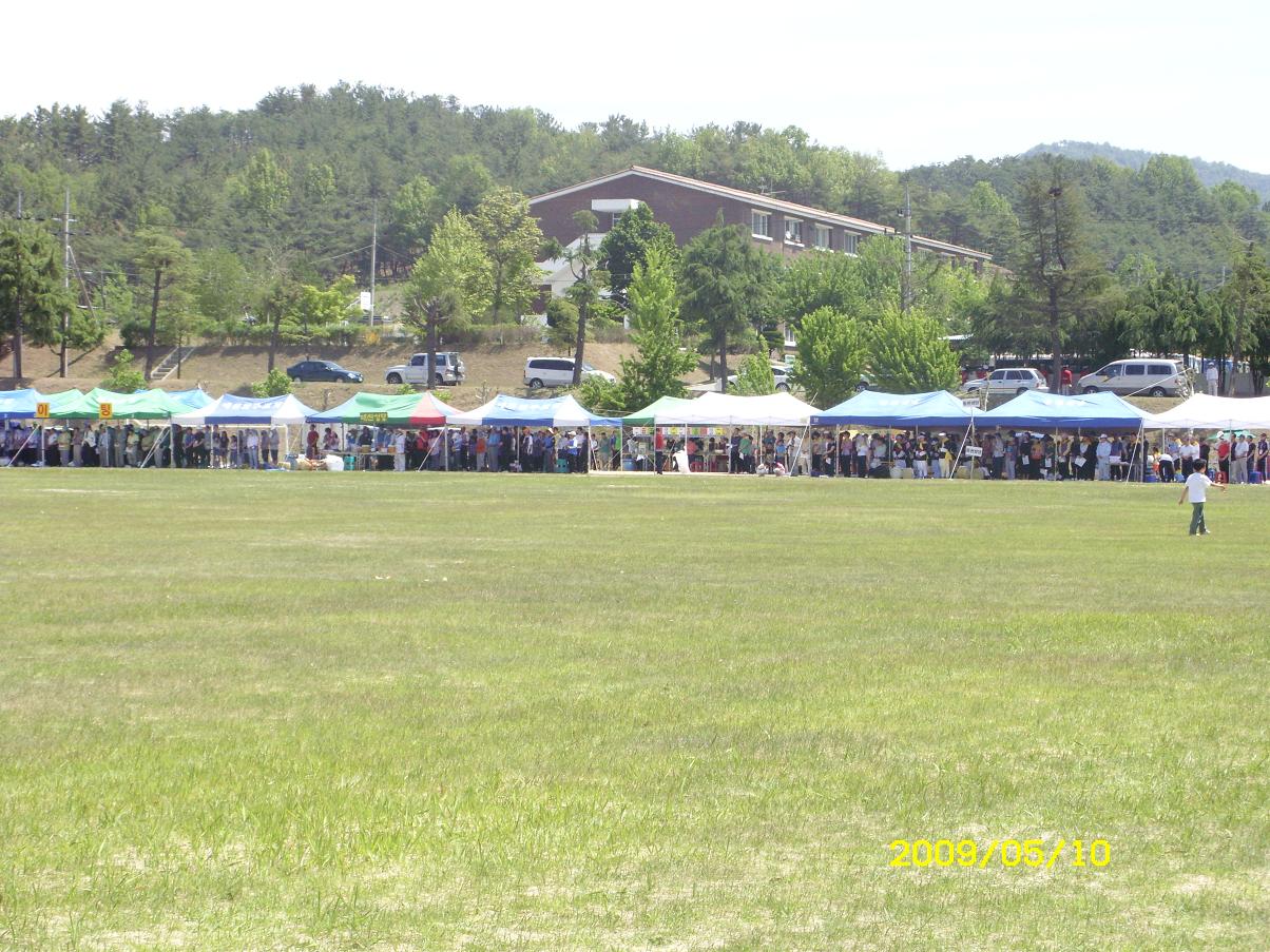 fda4ff975f255cf9524efba47f56a08d_1735694039_7615.JPG