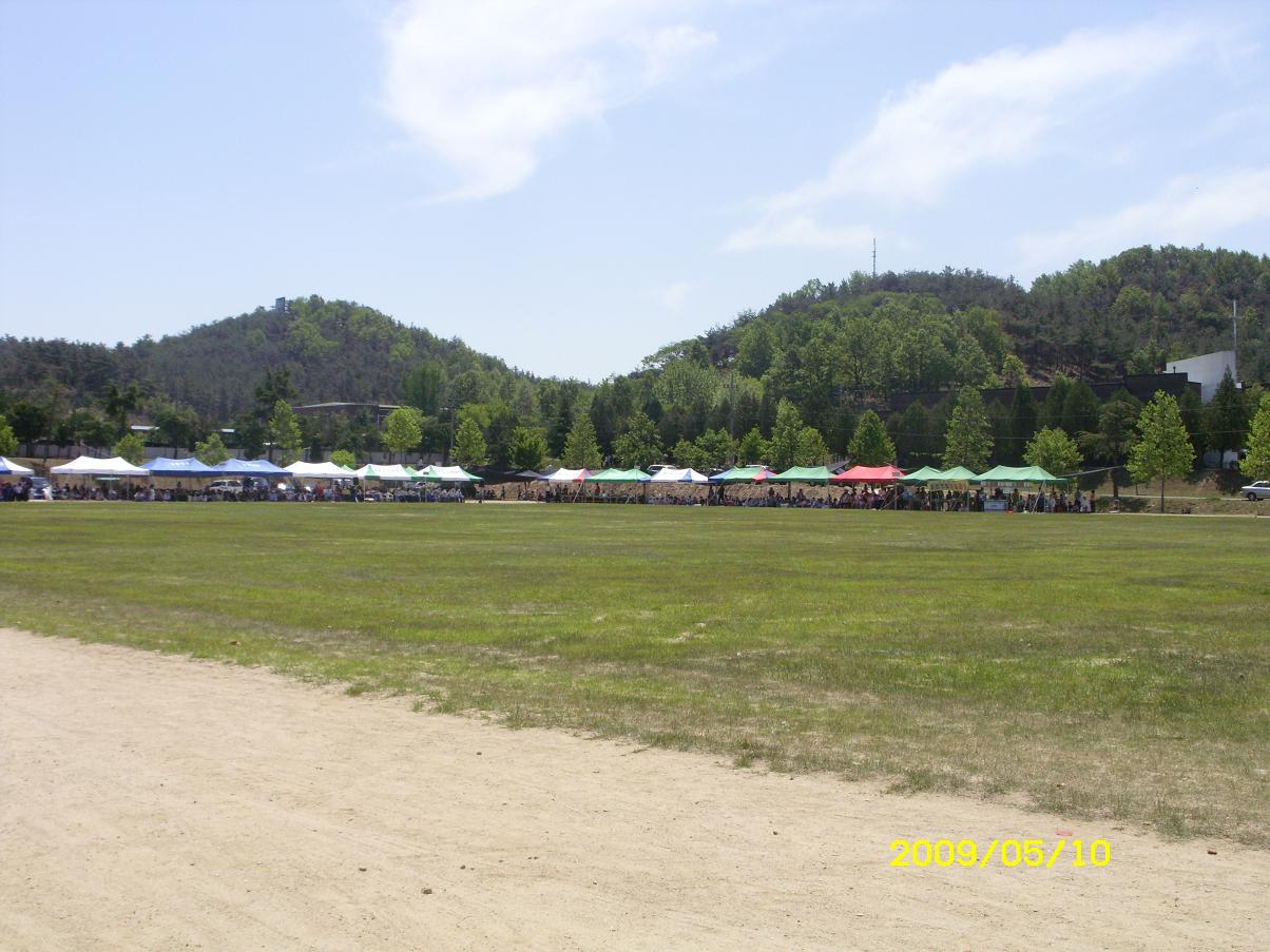 fda4ff975f255cf9524efba47f56a08d_1735694039_882.JPG