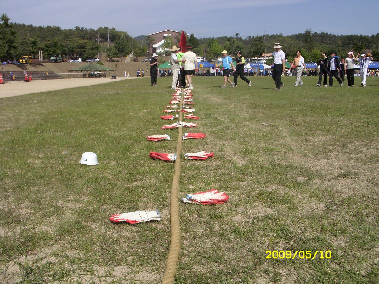 fda4ff975f255cf9524efba47f56a08d_1735694053_3626.JPG