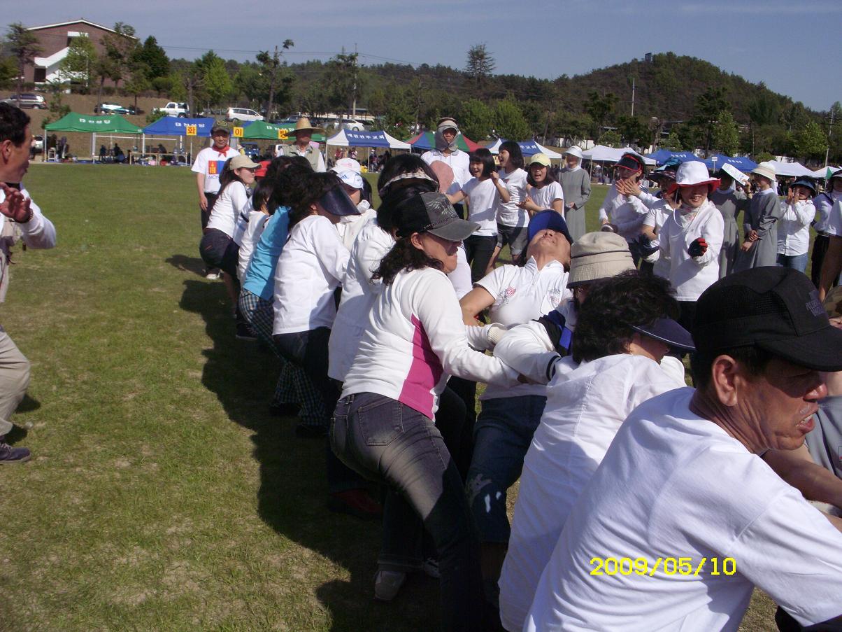 fda4ff975f255cf9524efba47f56a08d_1735694070_5598.JPG