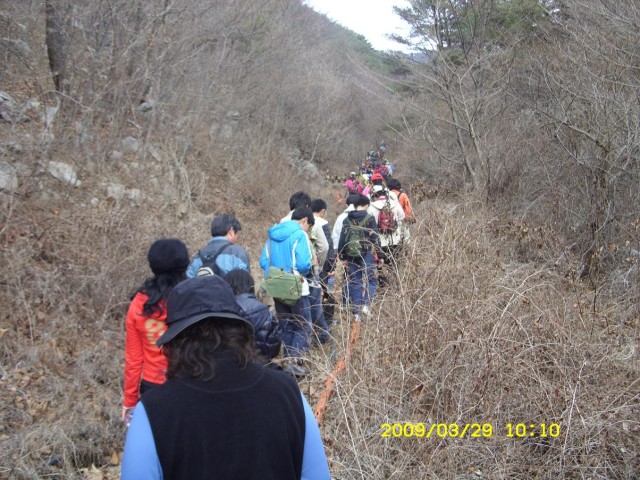 fda4ff975f255cf9524efba47f56a08d_1735694517_9152.JPG