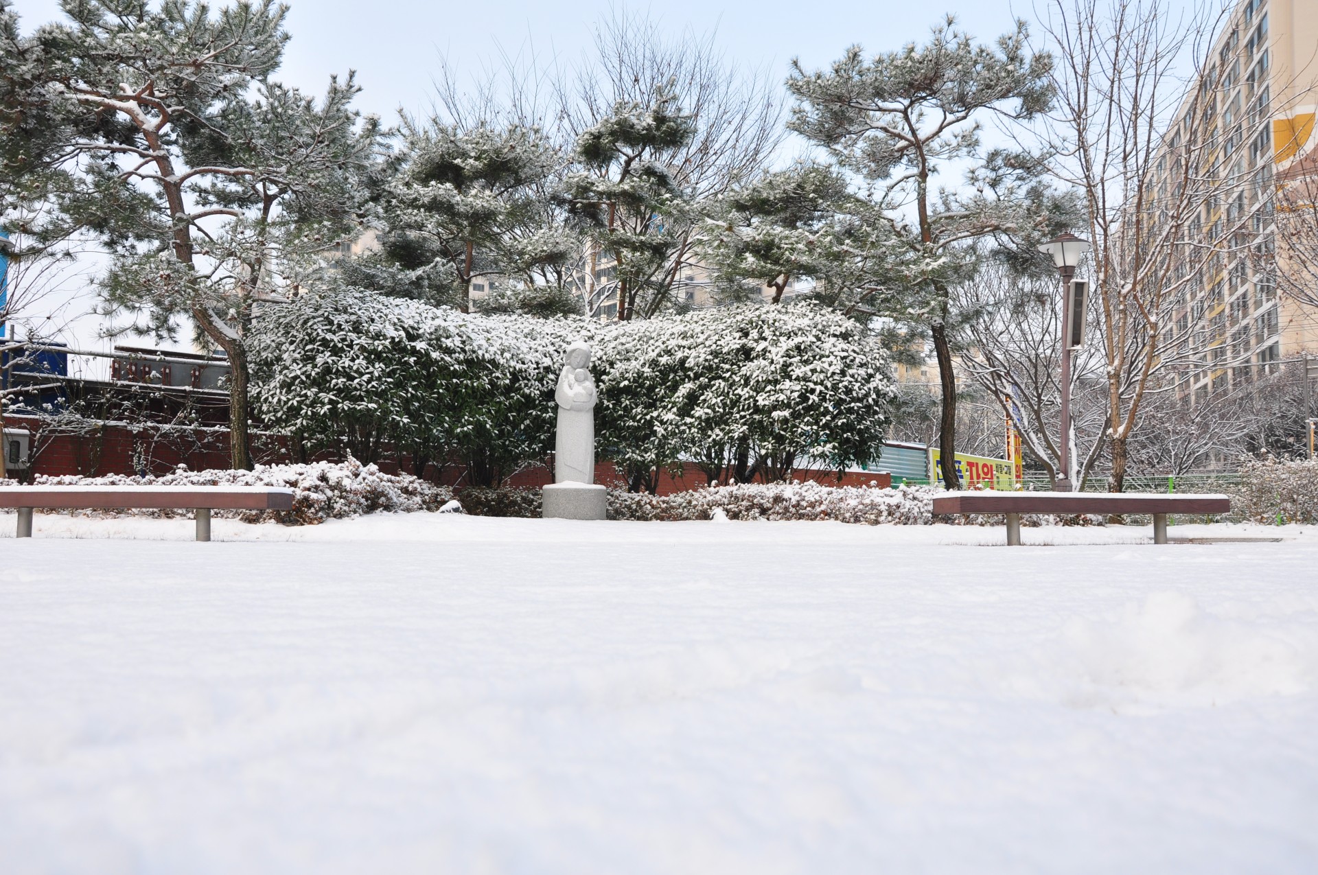 a6a9d1b97accdd225bddec8843849e9f_1742793155_592.JPG