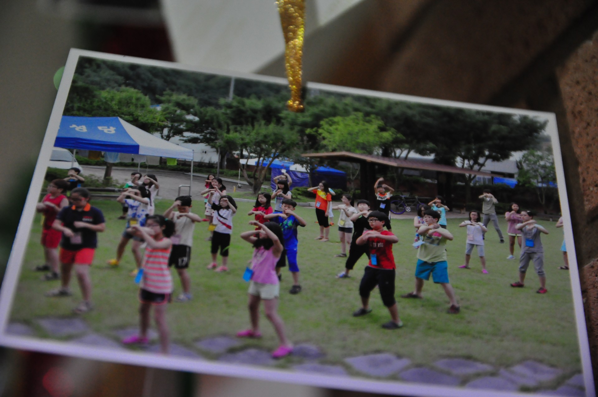 a6a9d1b97accdd225bddec8843849e9f_1742793458_7942.JPG