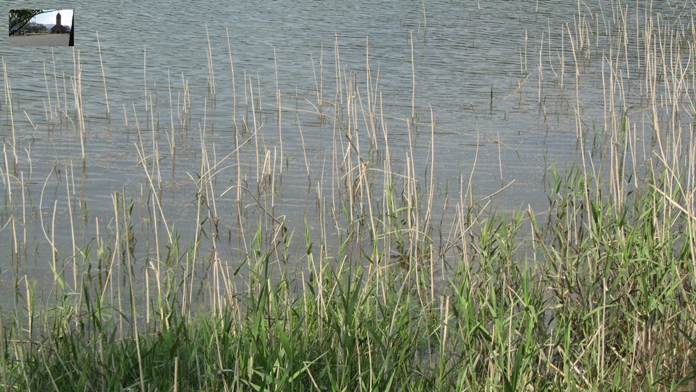 23ab90cfc1791a76dfa5b948ff8b8078_1746753548_1202.JPG