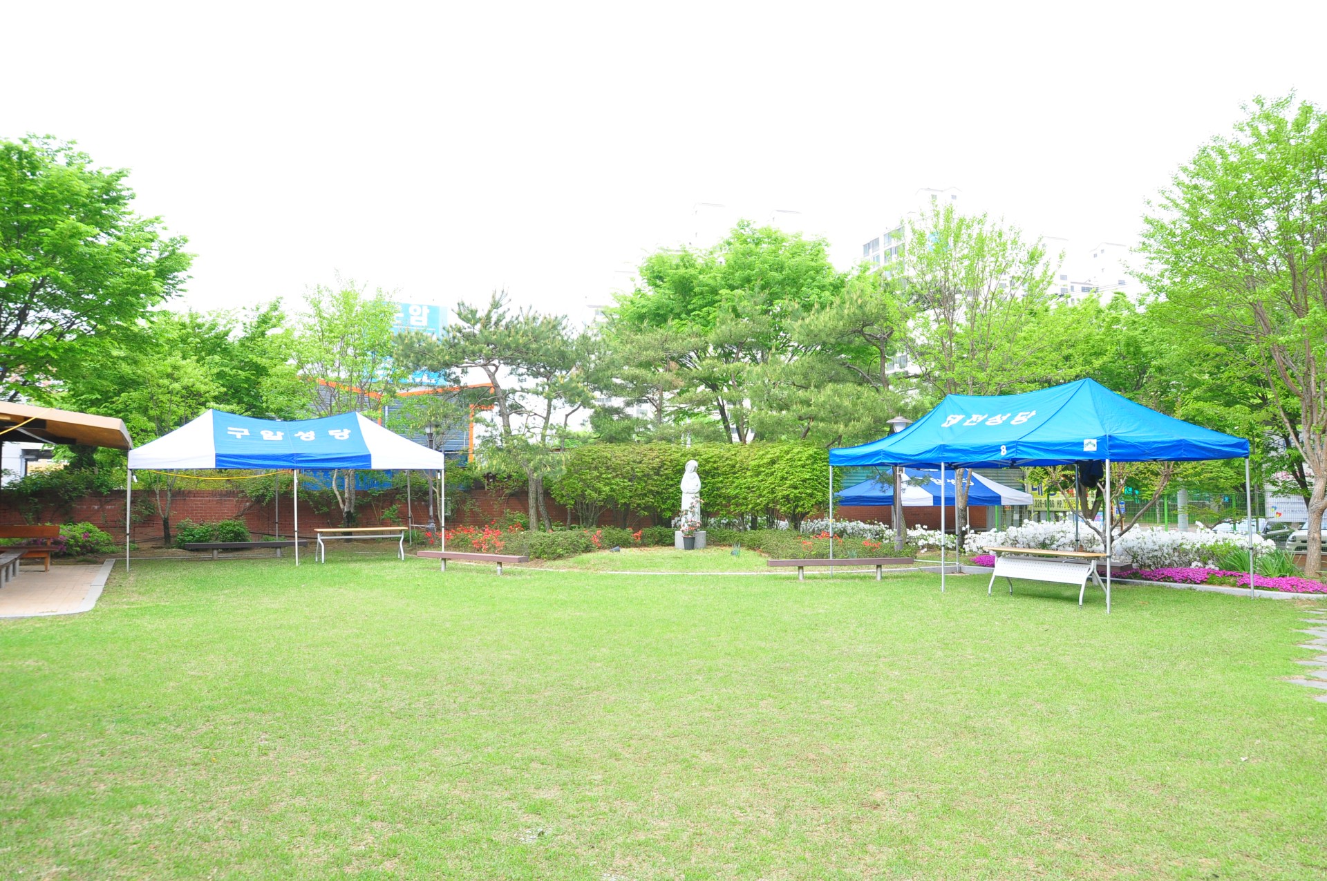23ab90cfc1791a76dfa5b948ff8b8078_1746752761_12.JPG