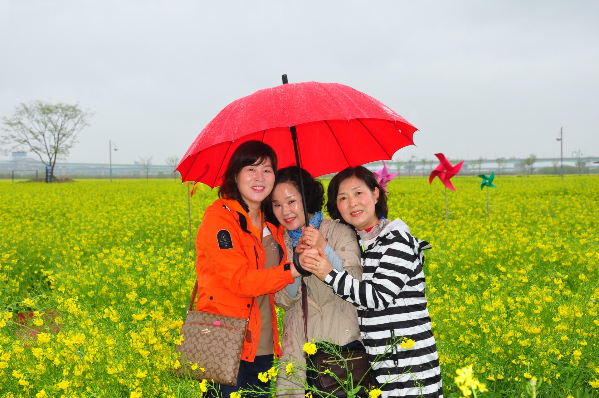 2692de864ff8dd12b9220dde7c4aaccf_1747895801_4707.JPG
