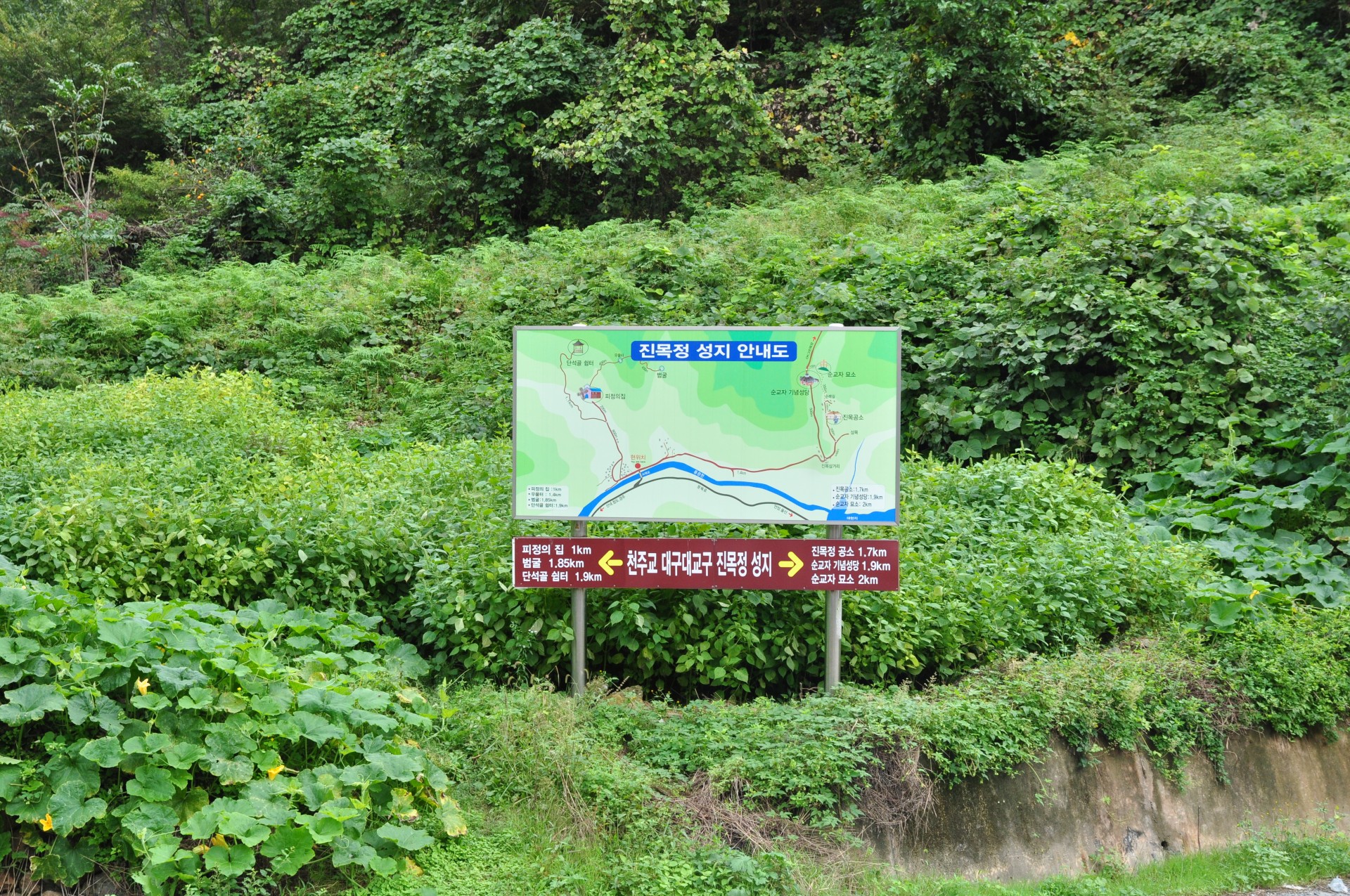 2f20fd9ff54cb28c76bbaf23b1cb7dc7_1747104090_7275.JPG