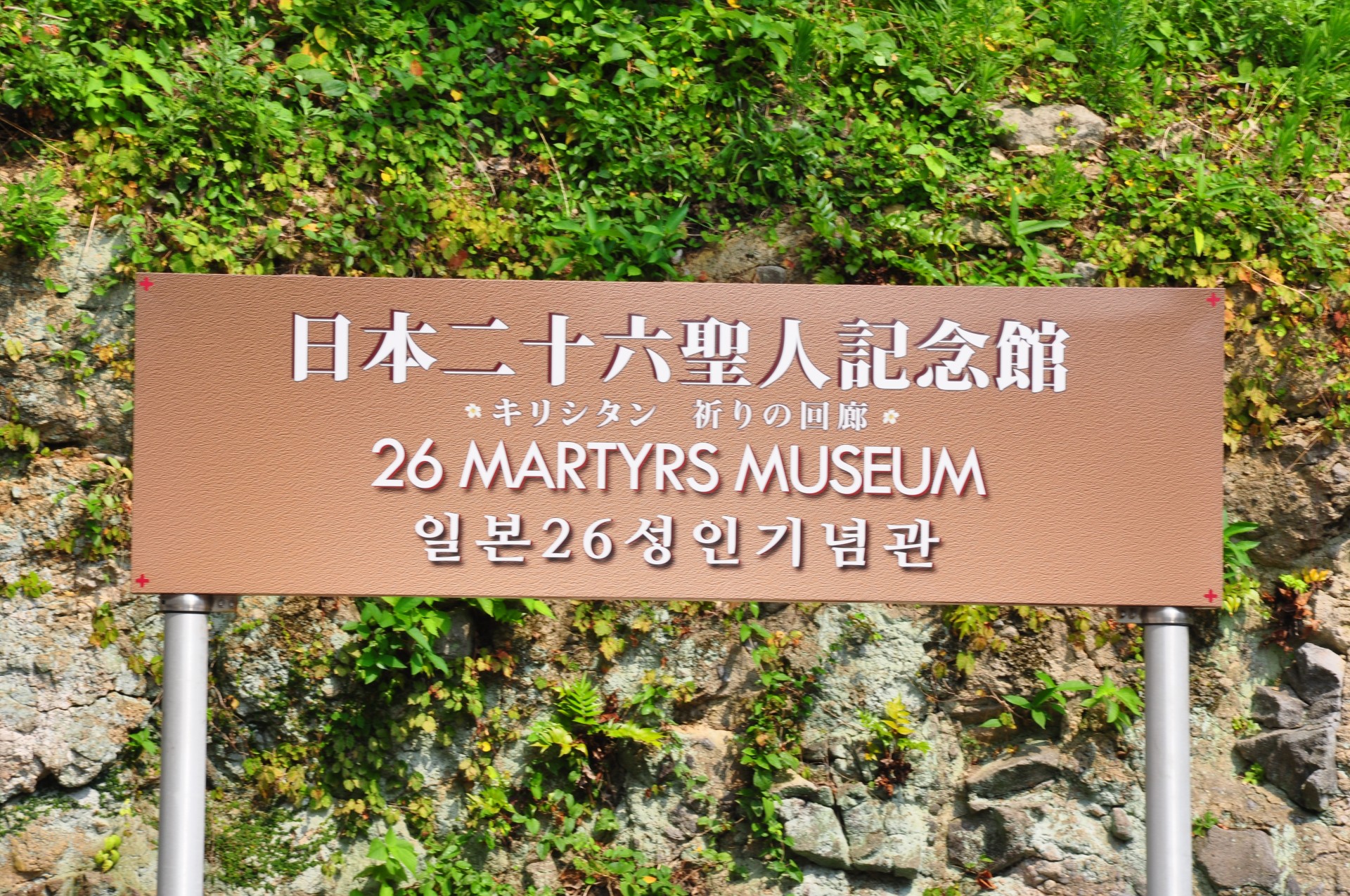 d10863646748268378e0346c8e989da3_1748410697_2363.JPG