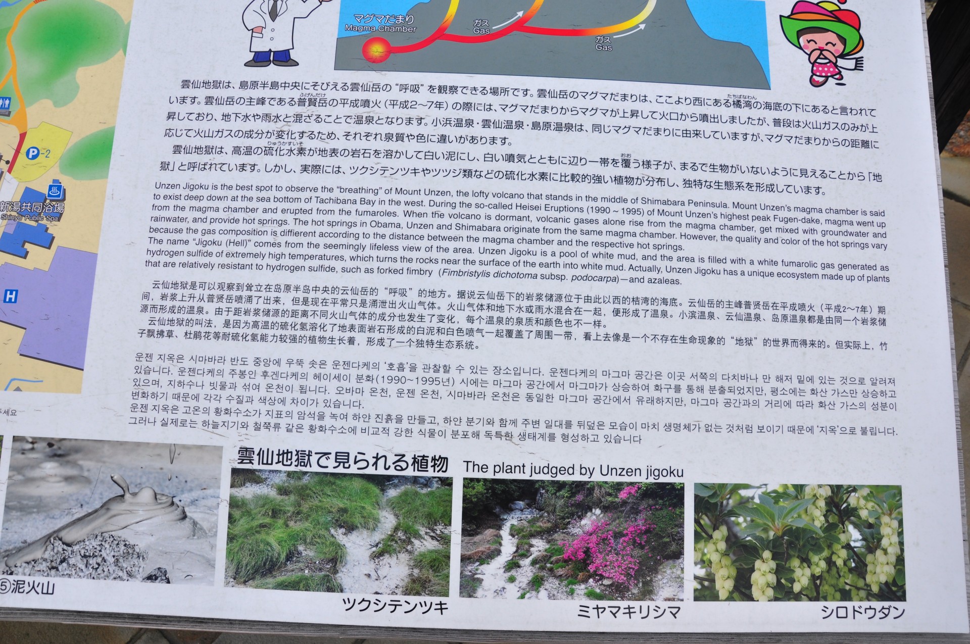 d10863646748268378e0346c8e989da3_1748410718_4149.JPG
