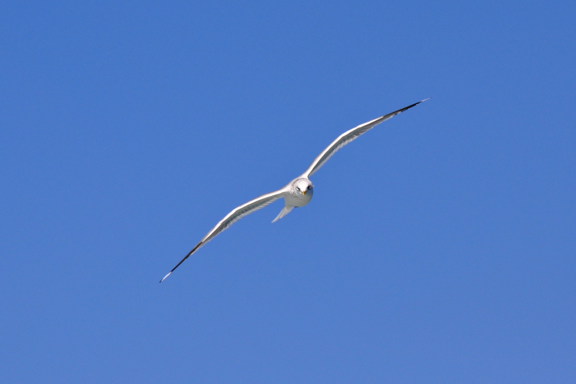 762eae326bcd4e7f227fd94fac2ccec1_1749107088_632.JPG