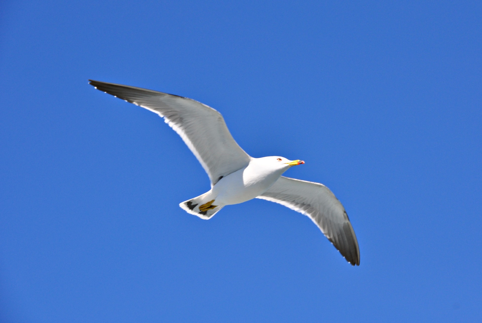 762eae326bcd4e7f227fd94fac2ccec1_1749107089_5156.JPG