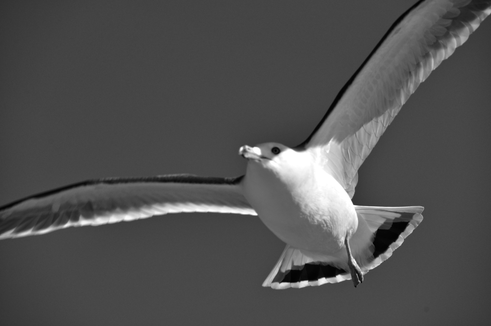 762eae326bcd4e7f227fd94fac2ccec1_1749107094_8507.JPG