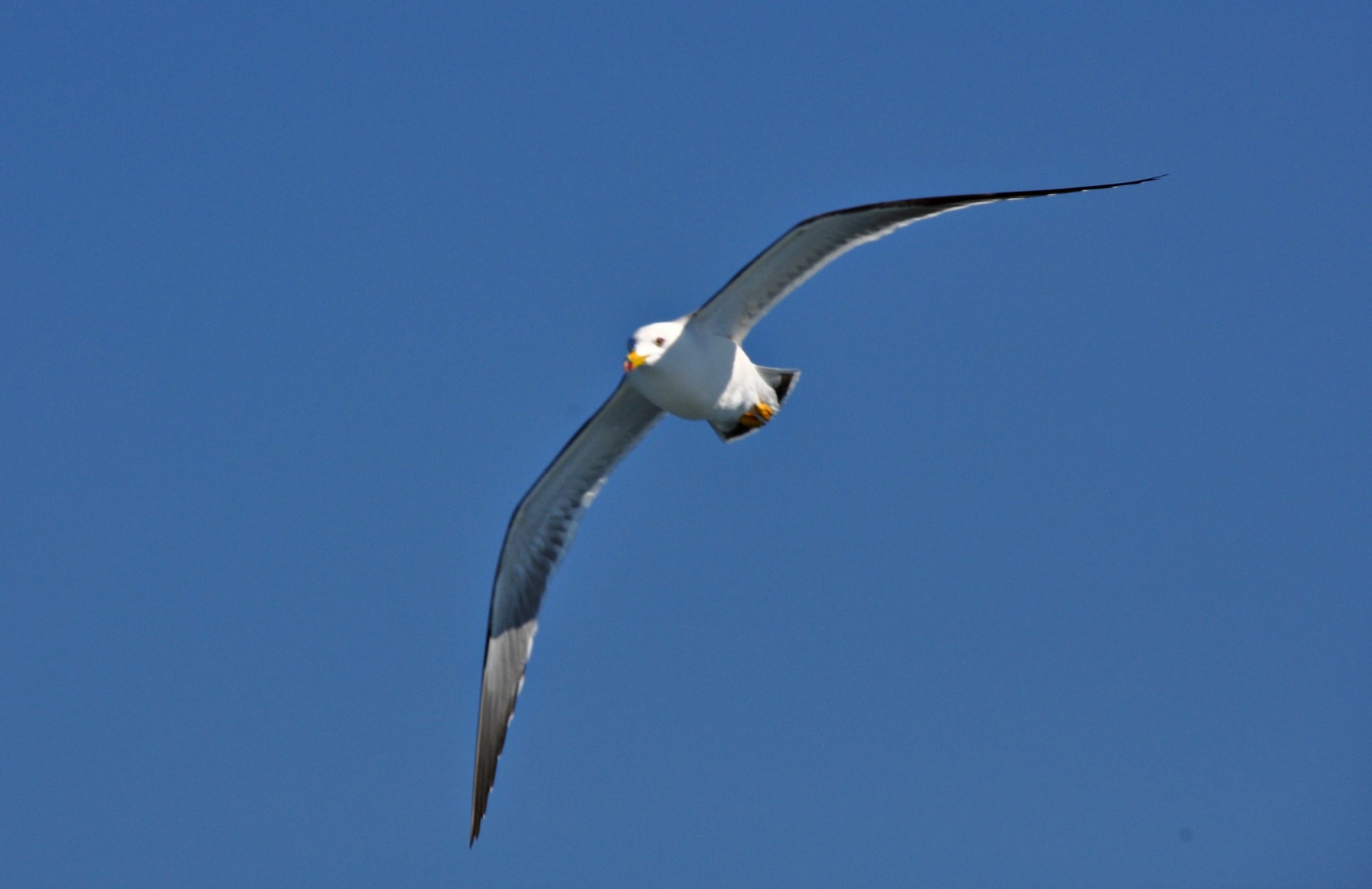 762eae326bcd4e7f227fd94fac2ccec1_1749107095_881.JPG