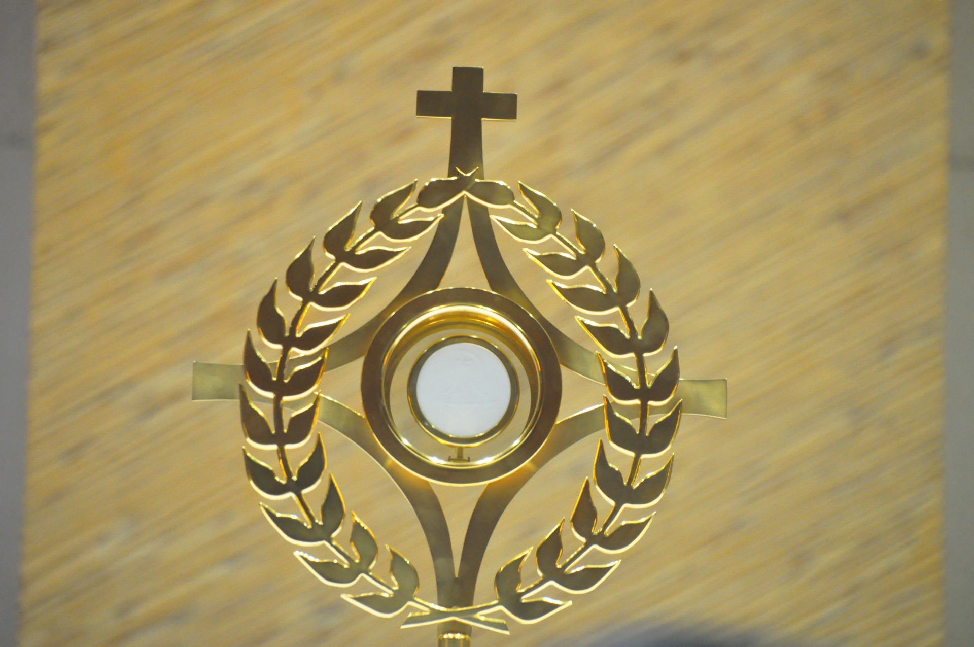 fc0edc838ef7bd92caf6817867c474fe_1749538728_792.JPG